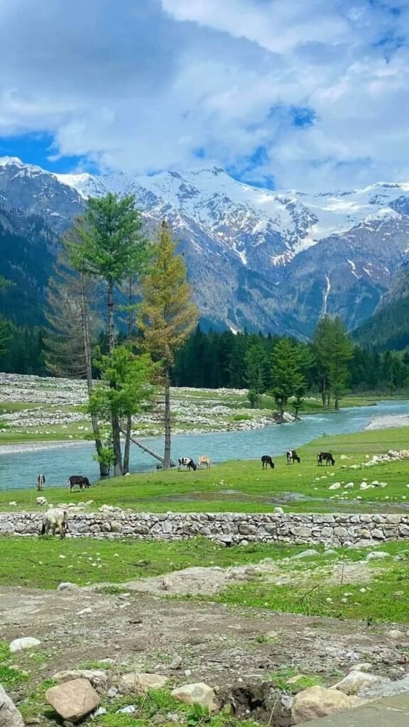 Hirkan Nature